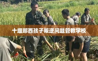 十堰郧西孩子叛逆问题管教学校