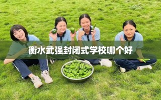 衡水武强封闭式学校哪个好