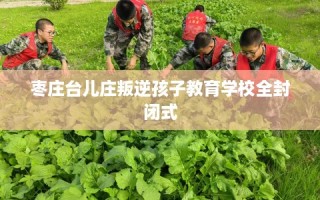 枣庄台儿庄叛逆孩子教育学校全封闭式