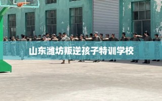 山东潍坊叛逆孩子特训学校