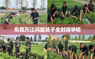 东莞万江问题孩子全封闭学校