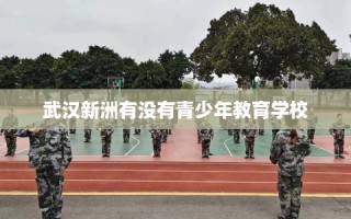 武汉新洲有没有青少年教育学校