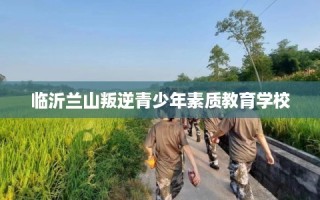 临沂兰山叛逆青少年素质教育学校