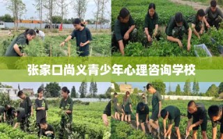 张家口尚义青少年心理咨询学校