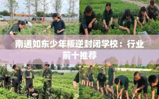 南通如东少年叛逆封闭学校：行业前十推荐