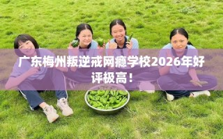 广东梅州叛逆戒网瘾学校2026年好评极高！