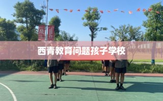 西青教育问题孩子学校