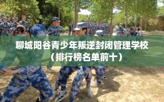聊城阳谷青少年叛逆封闭管理学校（排行榜名单前十）