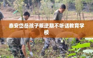 泰安岱岳孩子叛逆期不听话教育学校