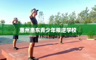 惠州惠东青少年叛逆学校