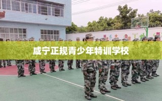 咸宁正规青少年特训学校