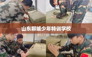 山东聊城少年特训学校