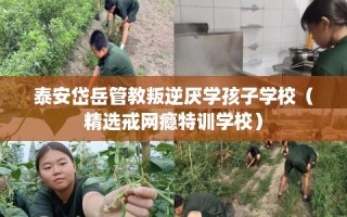 泰安岱岳管教叛逆厌学孩子学校（精选戒网瘾特训学校）