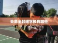 青岛全封闭学校有哪些