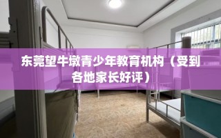 东莞望牛墩青少年教育机构（受到各地家长好评）