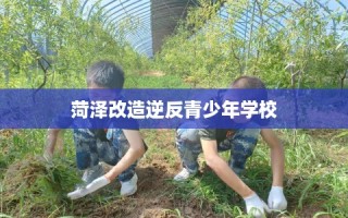 菏泽改造逆反青少年学校