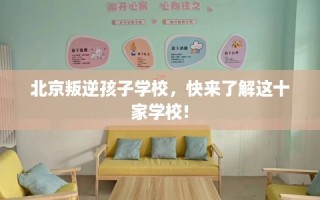 北京叛逆孩子学校，快来了解这十家学校!