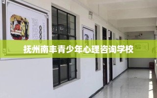 抚州南丰青少年心理咨询学校