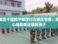 湖北十堰孩子叛逆行为矫正学校：真心挽救叛逆期的孩子