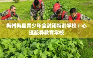 梅州梅县青少年全封闭特训学校：心理疏导教育学校