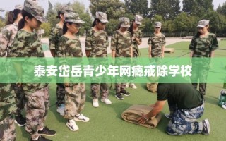 泰安岱岳青少年网瘾戒除学校