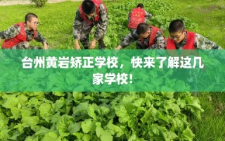 台州黄岩矫正学校，快来了解这几家学校!