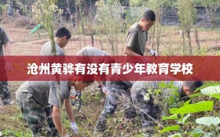 沧州黄骅有没有青少年教育学校