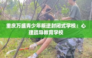 重庆万盛青少年叛逆封闭式学校：心理疏导教育学校