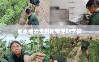 丽水缙云全封闭叛逆期学校