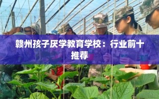 赣州孩子厌学教育学校：行业前十推荐