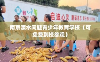 南京溧水问题青少年教育学校（可免费到校参观）