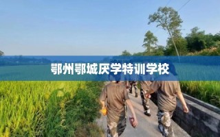 鄂州鄂城厌学特训学校