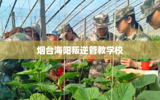 烟台海阳叛逆管教学校