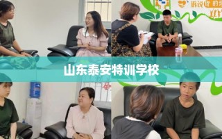 山东泰安特训学校