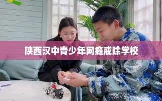 陕西汉中青少年网瘾戒除学校