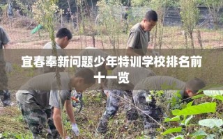 宜春奉新问题少年特训学校排名前十一览