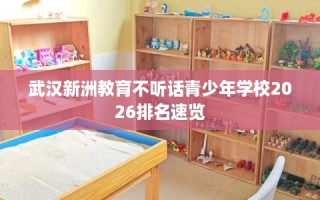 武汉新洲教育不听话青少年学校2026排名速览