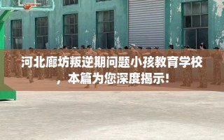 河北廊坊叛逆期问题小孩教育学校，本篇为您深度揭示!