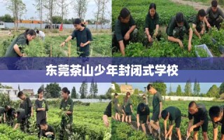 东莞茶山少年封闭式学校