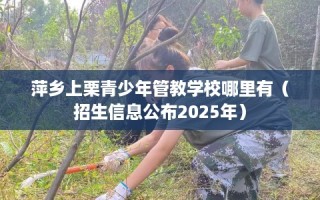 萍乡上栗青少年管教学校哪里有（招生信息公布2025年）