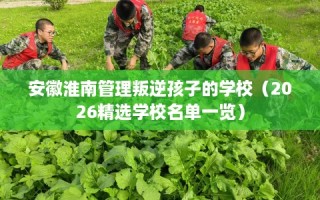 安徽淮南管理叛逆孩子的学校（2026精选学校名单一览）