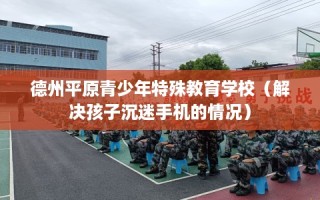德州平原青少年特殊教育学校（解决孩子沉迷手机的情况）