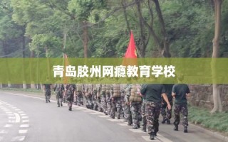 青岛胶州网瘾教育学校