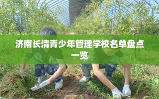 济南长清青少年管理学校名单盘点一览