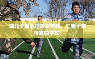 湖北十堰心理矫正学校，汇集十家可靠的学校！