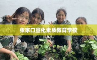 张家口宣化素质教育学校