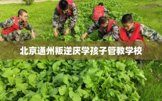 北京通州叛逆厌学孩子管教学校