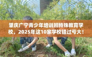 肇庆广宁青少年培训班特殊教育学校，2025年这10家学校错过亏大！