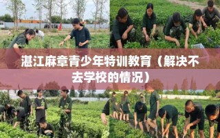 湛江麻章青少年特训教育（解决不去学校的情况）