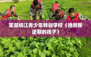 芜湖鸠江青少年特训学校（挽救叛逆期的孩子）